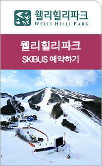 웰리힐리파크셔틀