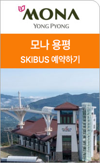 용평정기셔틀